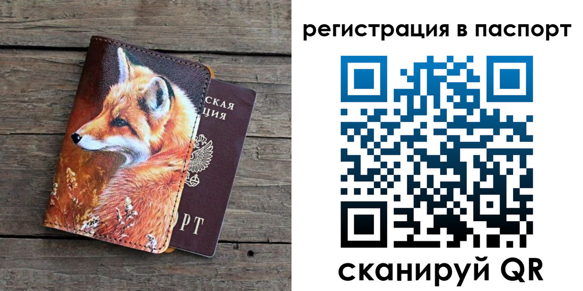 временная регистрация госуслуги в Михайловке